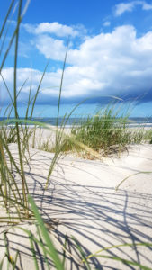 Dune landscape in Holland with a view of the sea Dune landscape in Holland with a view of the sea